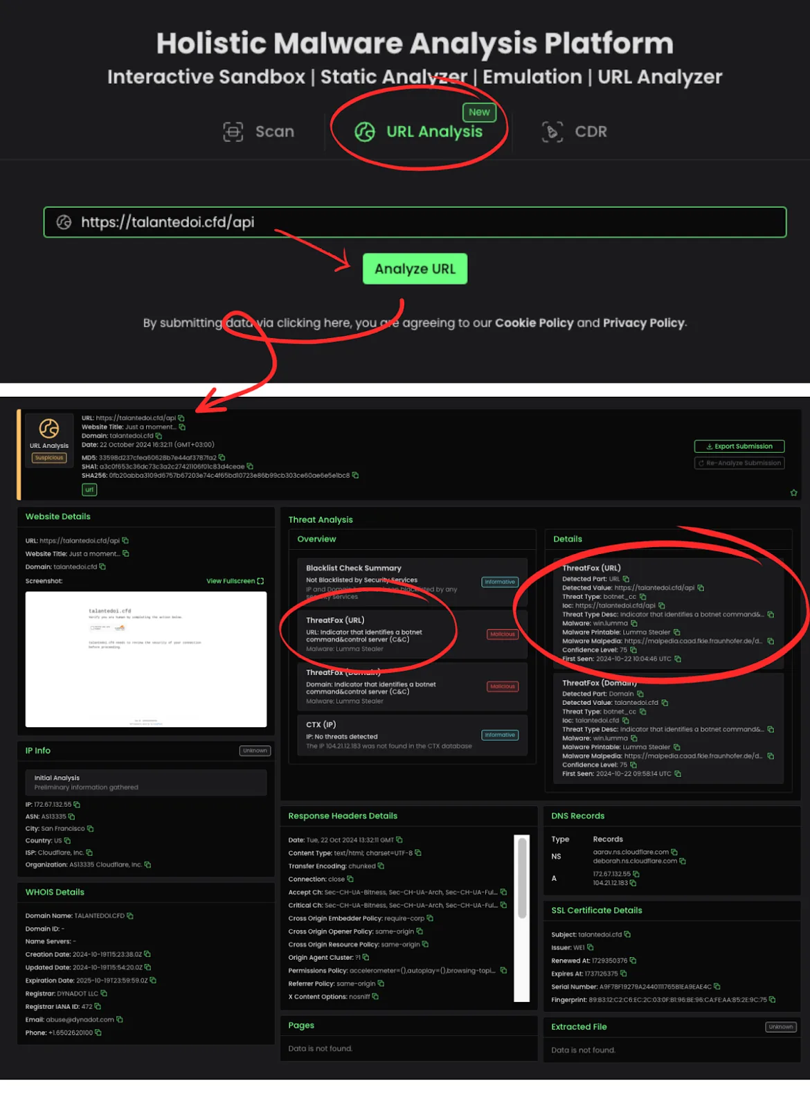 Example of Reputation and Domain Information Scanning see sample